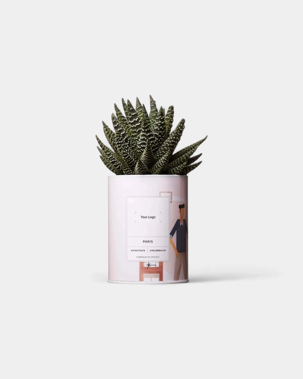 Cactus 100% Personnalisable - Ay Cactus - 1